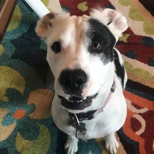 Meet your Posher, Bri